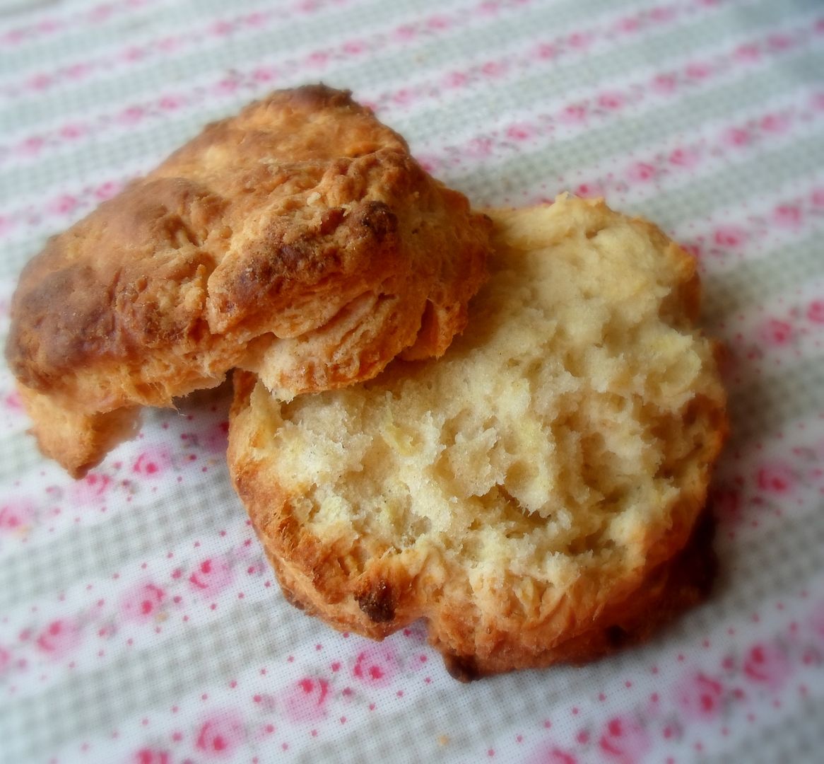 photo SAM_5204_zps464f81ef.jpg