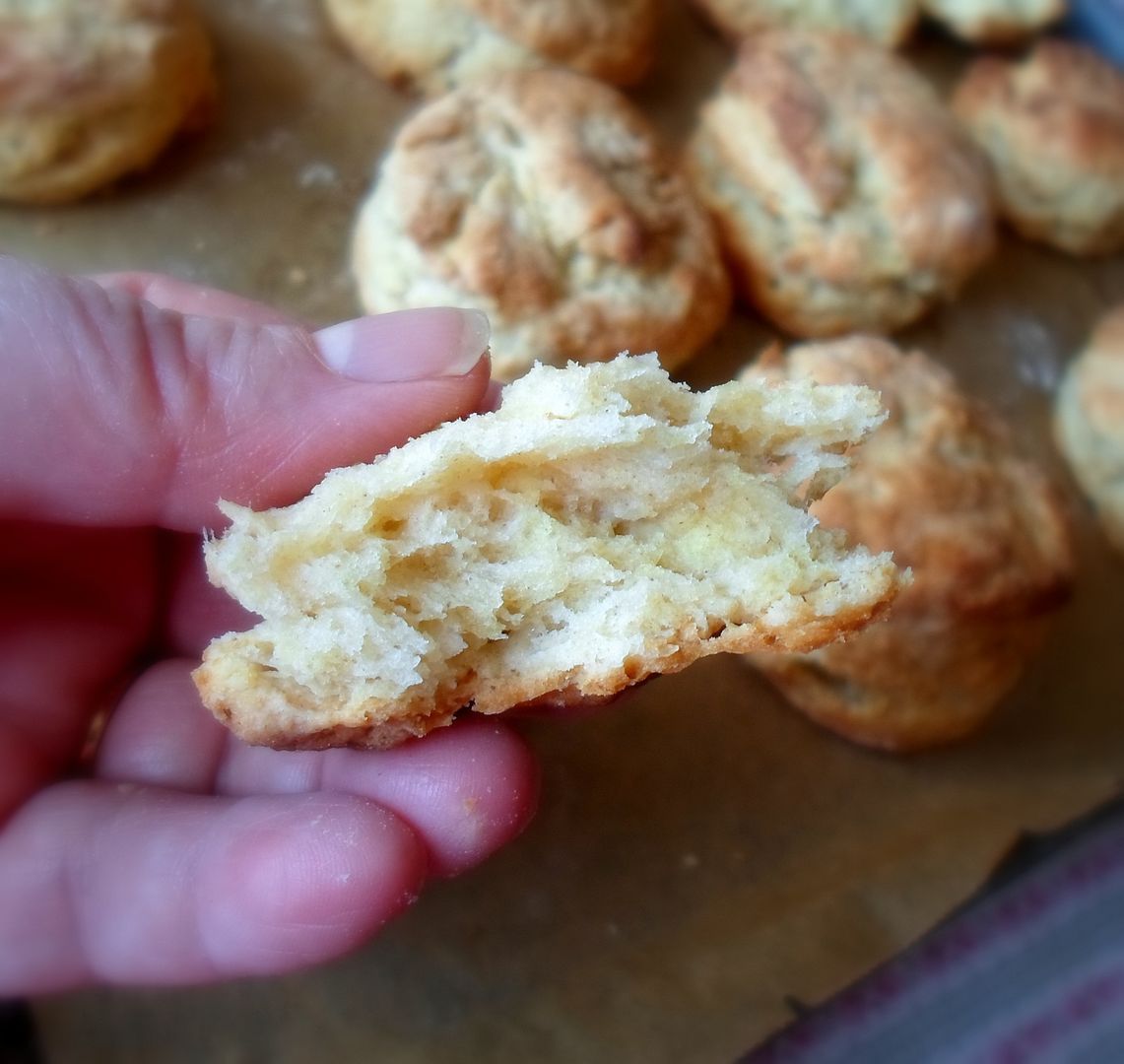 photo SAM_5206_zpsb17bdadb.jpg