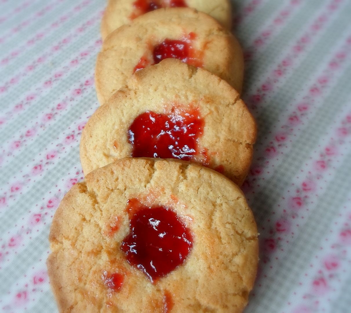  photo SAM_5873_zpsabfca99a.jpg