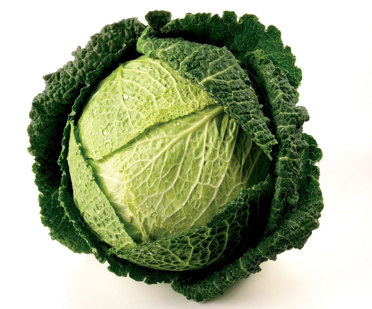  photo image_riviera_savoy_cabbage_zpswlgs9r89.jpg