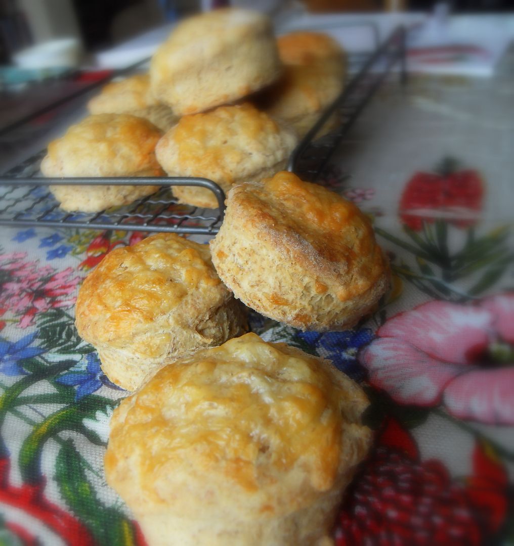 The English Kitchen Vitamix, Harvest Cheddar Soup and Delicious Cheese