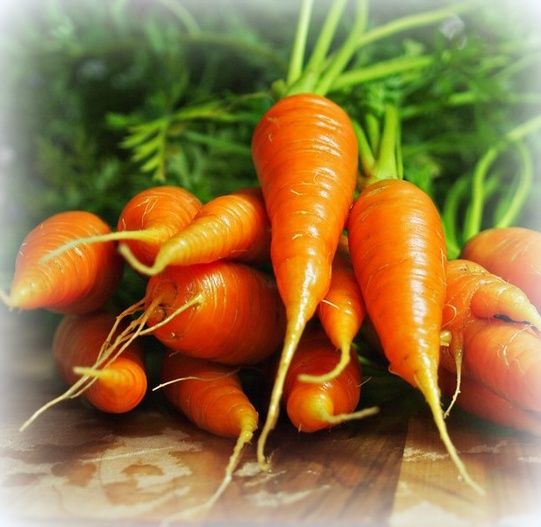  photo carrotsfromthegarden_zps164c7216.jpg