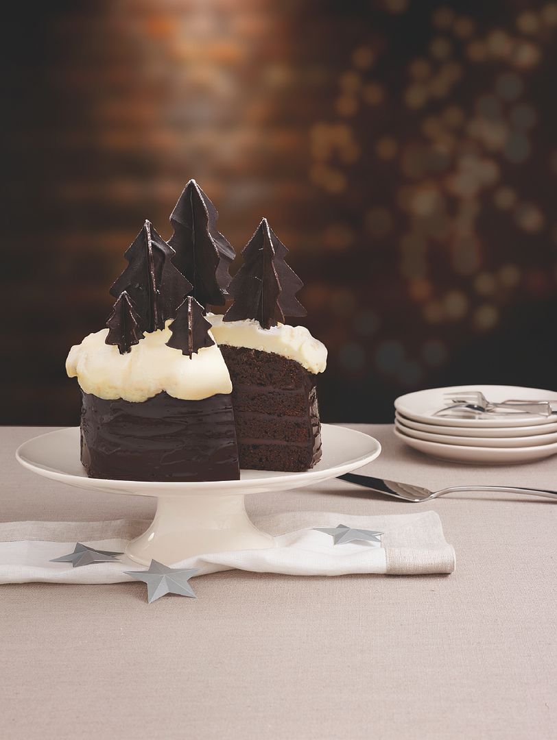 photo Winter Forest Chocolate Cake_zps6qkpcyna.jpg