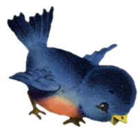  photo Little BlueBird_zps94vsx1hv.png