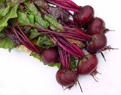  photo beetroot_zpsibujwunk.jpg