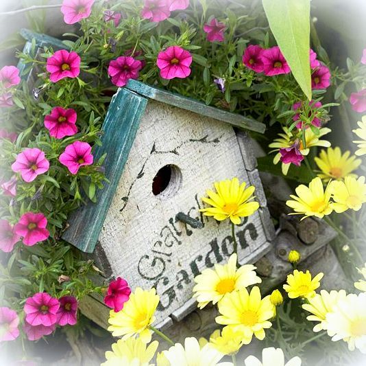  photo birdhouse_zps3353ce2d.jpg