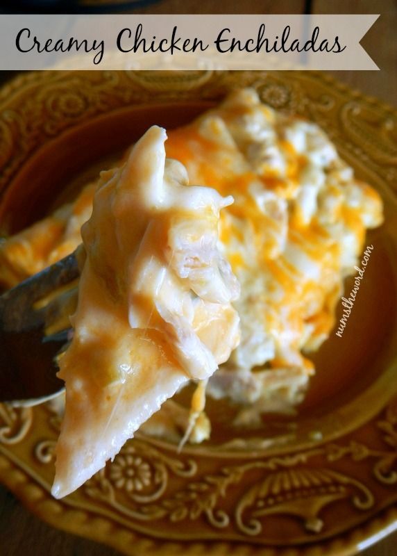  photo Chicken-Enchiladas-Regular_zpsxvnwwhbh.jpg