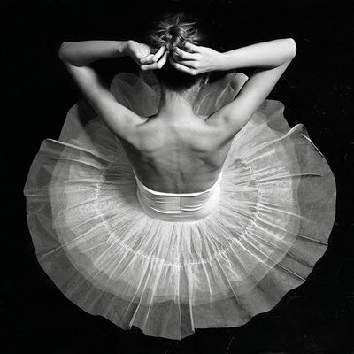  photo tulle4.jpg