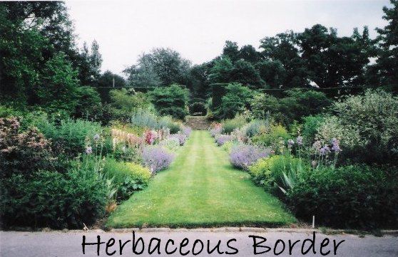  photo HerbaceousBorder_zps23df695e.jpg