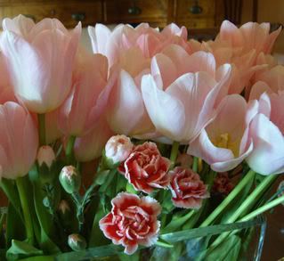  photo Tulips2.jpg