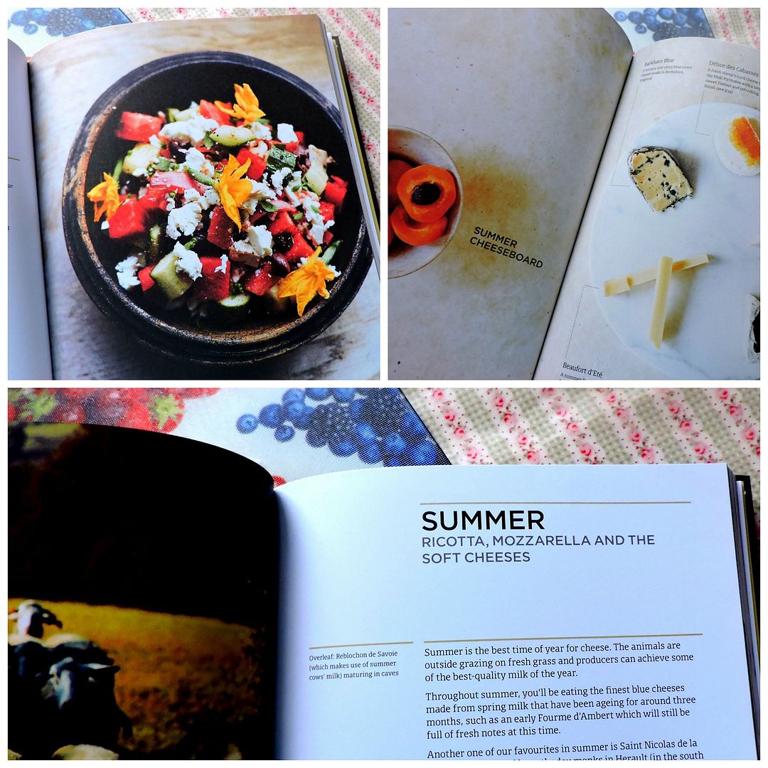 photo Summer_zpsfrbstatq.jpg