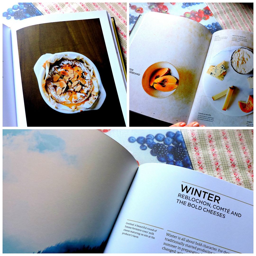 photo Winter_zpswgqyawqu.jpg
