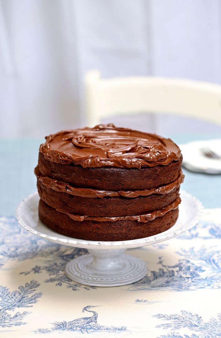 photo ChocolateFudgeCake_Portrait_b_zpsfensloqz.jpg