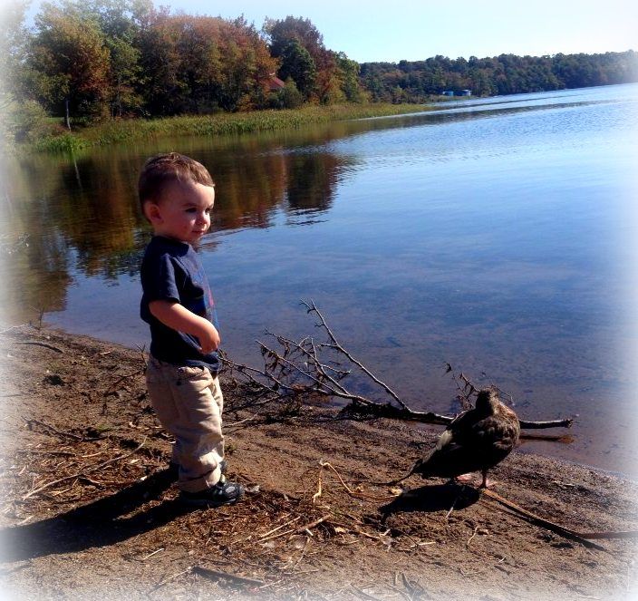  photo Cameron17Setember2014_zpse46c9830.jpg