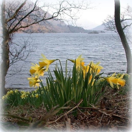  photo Ullswater_zpsz5c4qjrj.jpg