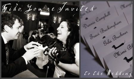 Rexcraft wedding invitations circulatordk.cf is tracked by us since April, Over the time it has been ranked as high as 7 in the world. It was owned by several entities, from Artco (US) circulatordk.cf Stationery Place P.O. Box to The Occasions Group Inc. of The Occasions Group Inc., it was hosted by Current Inc. and Taylor circulatordk.cf NETWORK SOLUTIONS LLC. was its first registrar, now it is moved to Network.