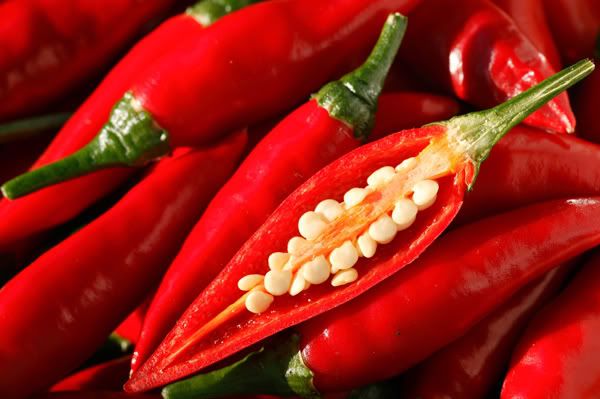 IMAGE: http://img.photobucket.com/albums/v51/s1ckpuppy/Australia-HomegrownChilli.jpg