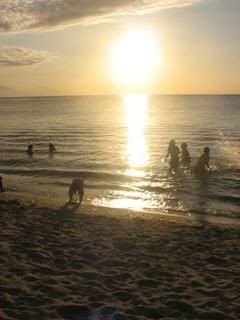 Image hosted by Photobucket.com