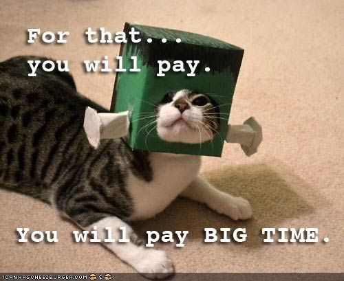 hannitycat.jpg