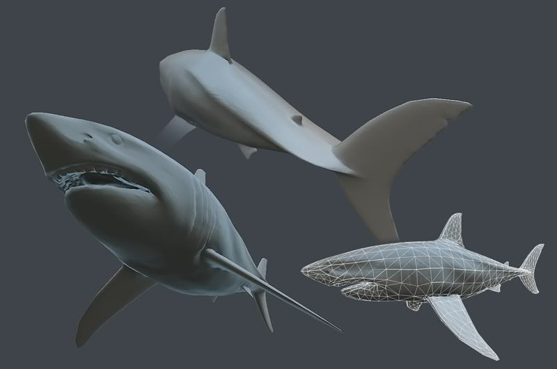 SharkWIP2.jpg