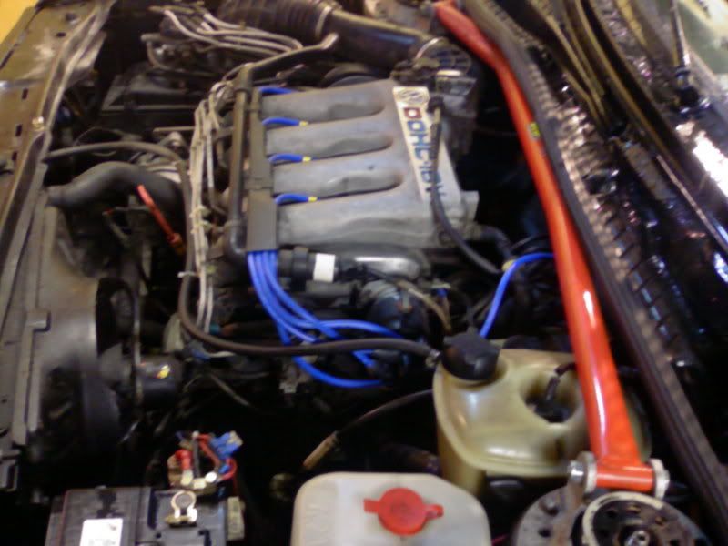 Photo-0077.jpg?t=1164219105