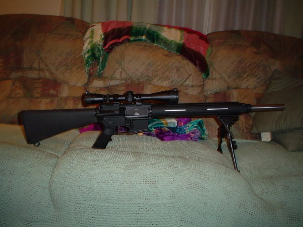 Dpms Bull 20