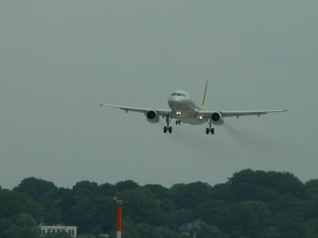HAM012.jpg