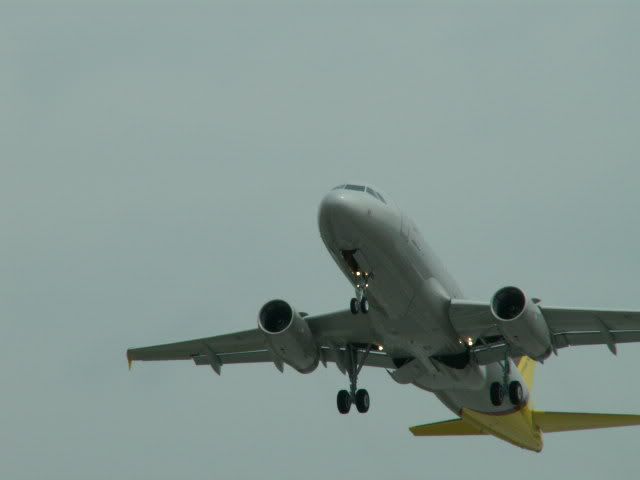 HAM013.jpg