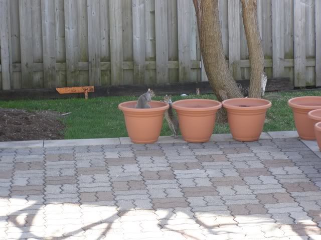 april 12 2010