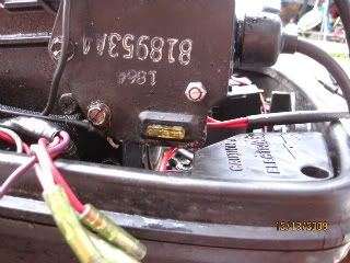 IMG_1207.jpg