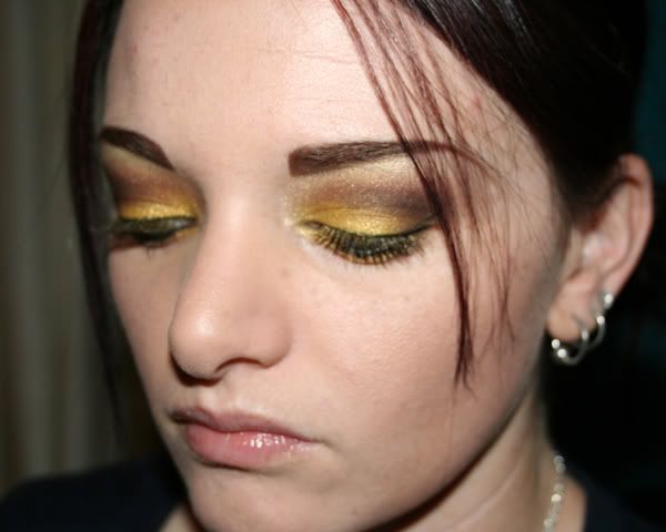 9-03-08fotd006_1.jpg