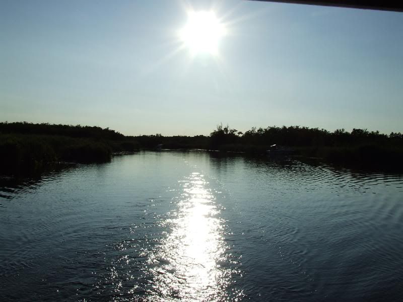 [Image: DSCF5901.jpg]
