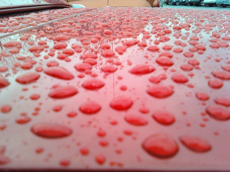 1201081622.jpg