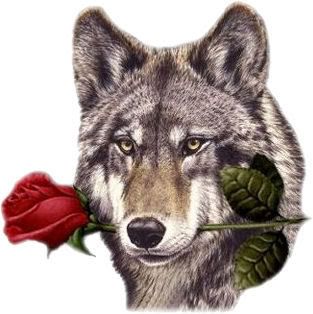 Rose The Wolf