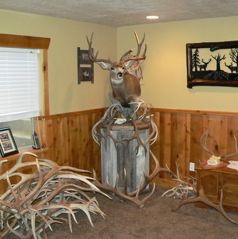 Elk Pedestal mount help Utah Wildlife Network