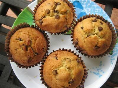 Choc Peanut Butter Muffin