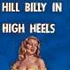 The Hillbilly In High Heels