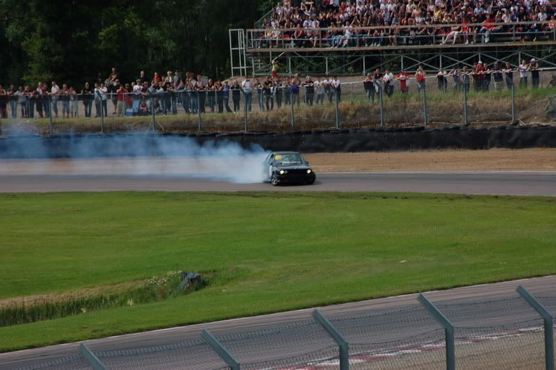 d14.jpg