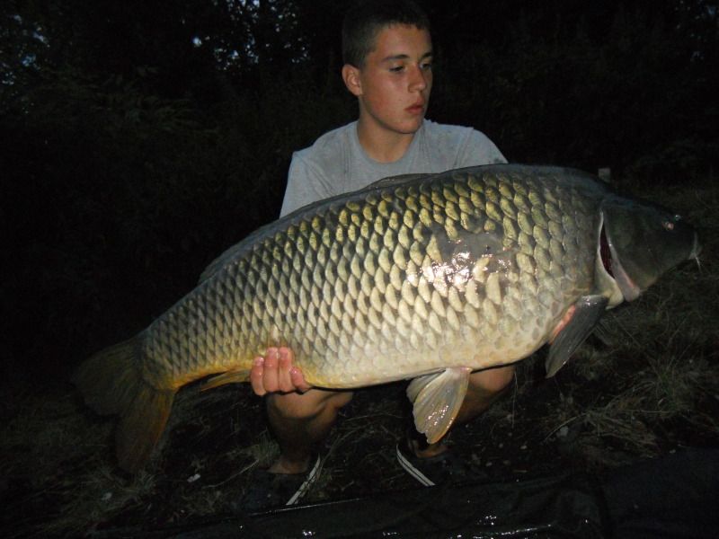 Slika