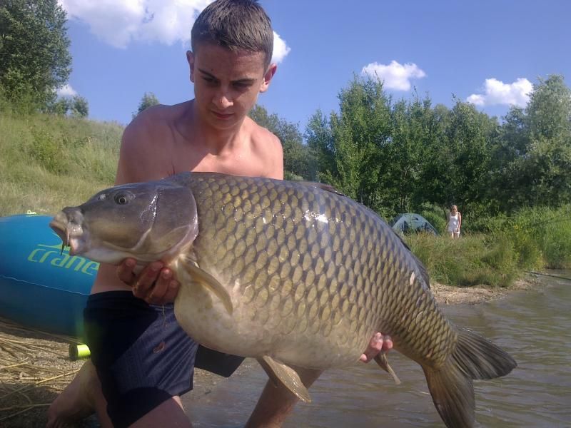 Slika