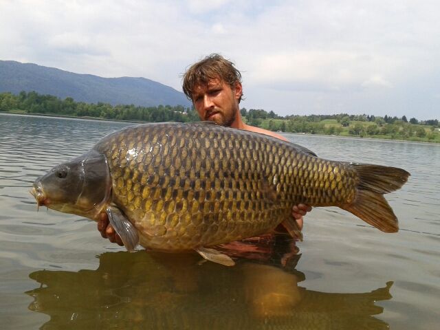 Slika