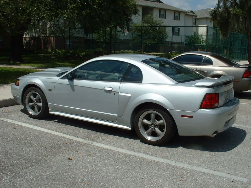 mustang001.jpg