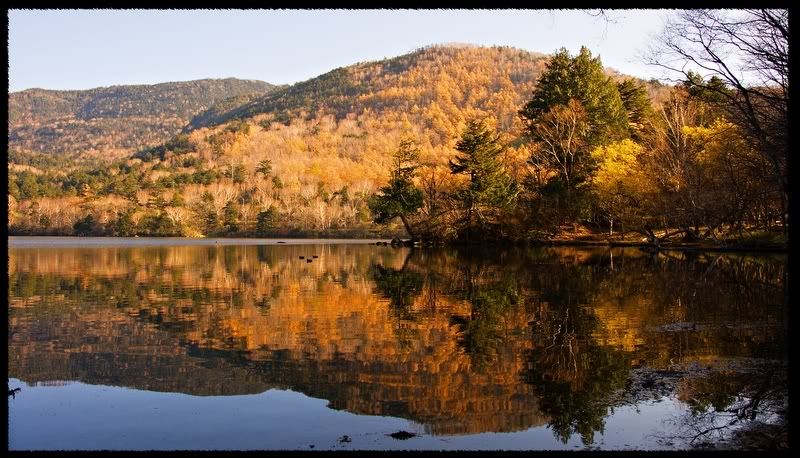 IMAGE: http://img.photobucket.com/albums/v514/athedjo1/Reflection-3.jpg