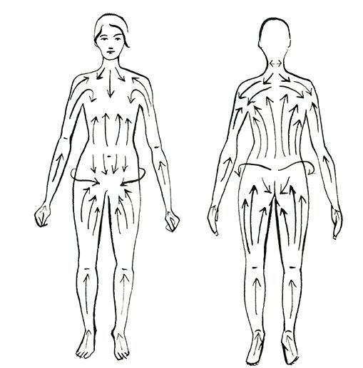 photo img-drybrushingdiagram_zps9d613916.jpg