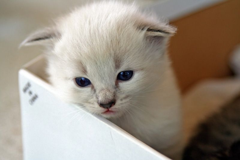 IMAGE: http://img.photobucket.com/albums/v514/speedyman_2/k3.jpg