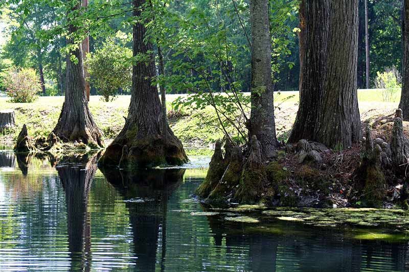 IMAGE: http://img.photobucket.com/albums/v514/speedyman_2/p1.jpg