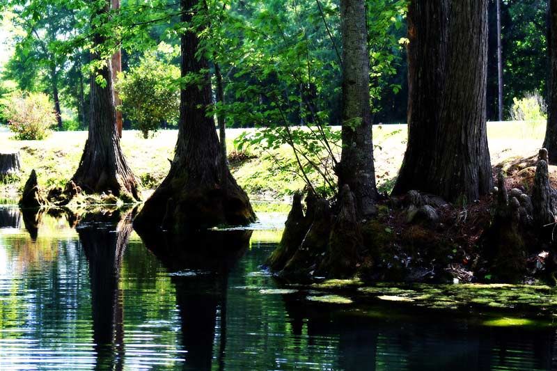 IMAGE: http://img.photobucket.com/albums/v514/speedyman_2/p2.jpg