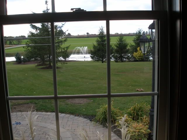 pond,window view