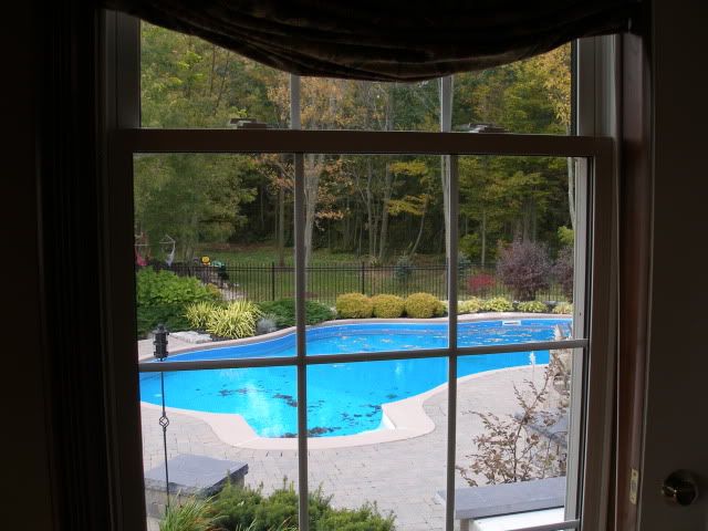 pool,window view