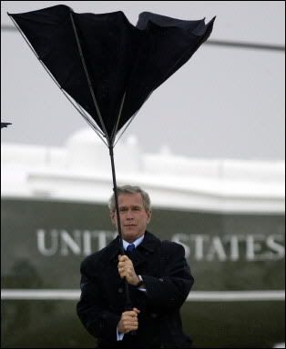 bush_umbrella.jpg